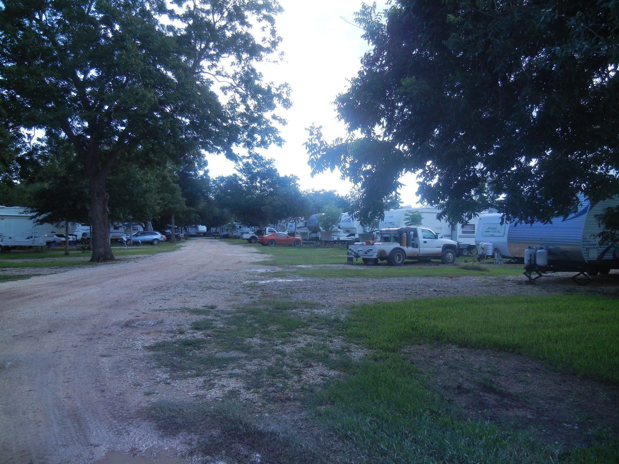 Tree-lined RV sites at San Bernard River RV Park