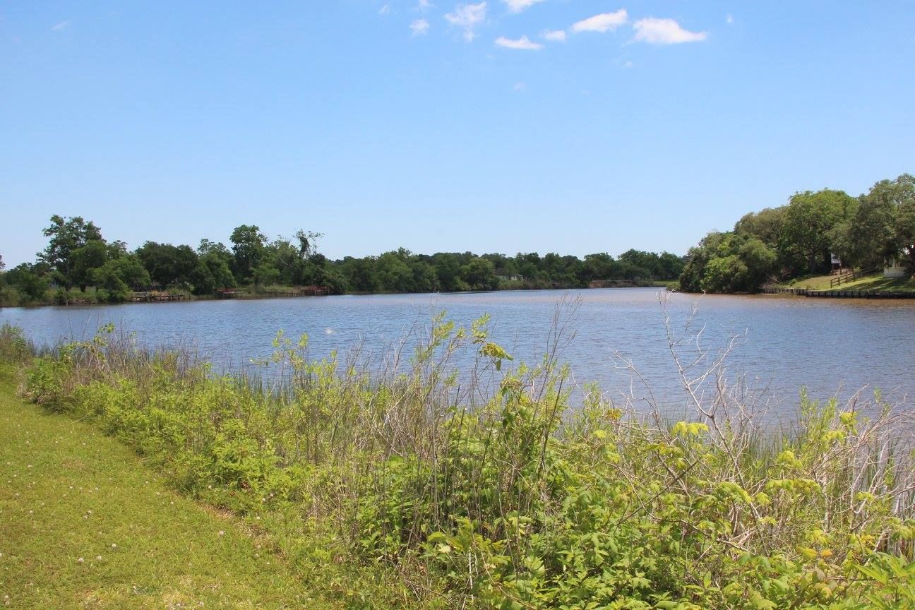 Grassy bank along the San Bernard River