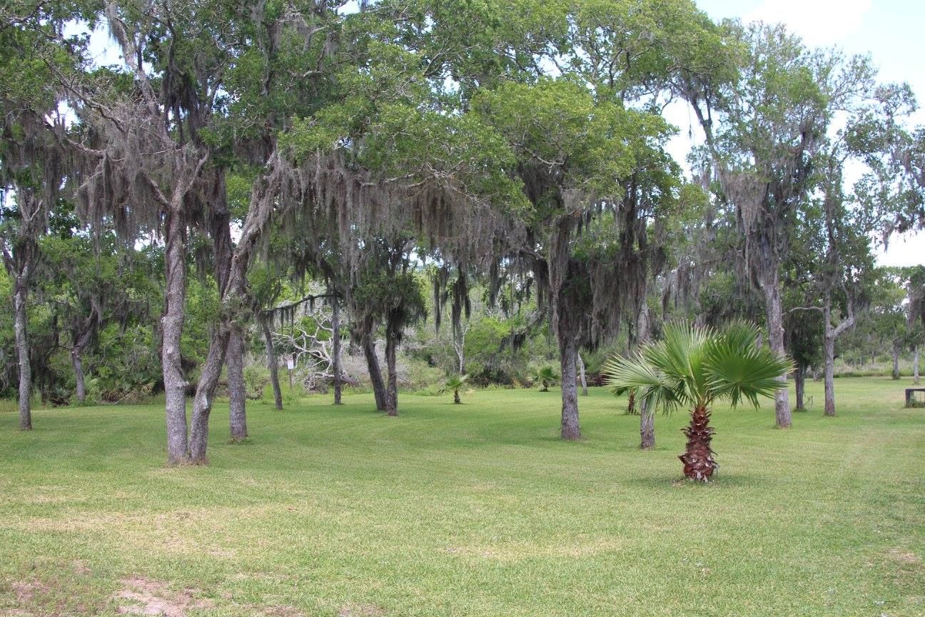 Tree-covered picnic lawn at San Bernard River RV Park