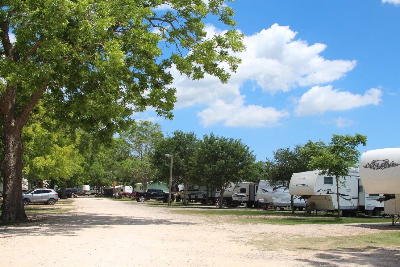 Tree-lined lane through San Bernard River RV Park
